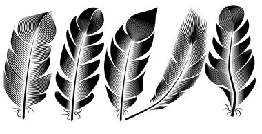 Tüy illüstrasyon, topluluğu mürekkep çizim, oyma, hat sanatı, siyah ve beyaz