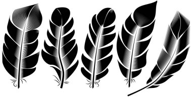 Tüy illüstrasyon, topluluğu mürekkep çizim, oyma, hat sanatı, siyah ve beyaz