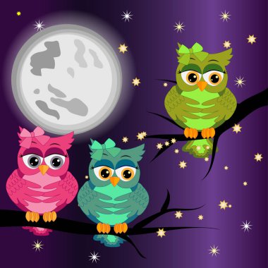 Gece manzarası güzel baykuş ve dolunay ile