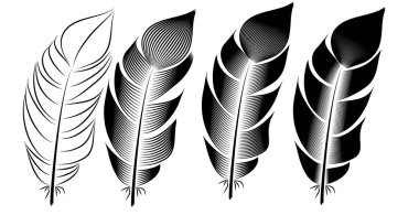 Tüy illüstrasyon, topluluğu mürekkep çizim, oyma, hat sanatı, siyah ve beyaz