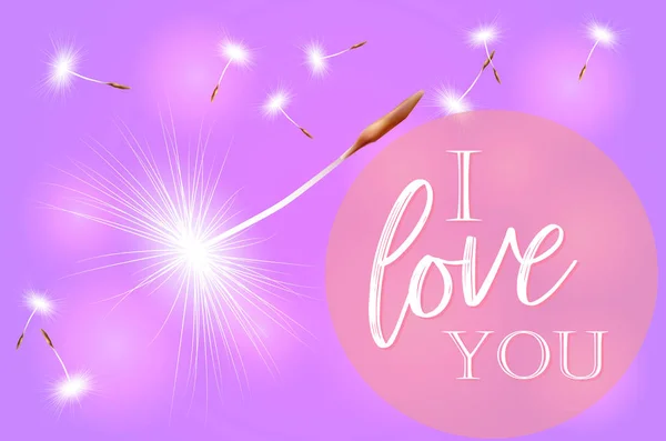 Valentýnské Růžové Pozadí Hvězdným Světla Nápis Love You — Stockový vektor