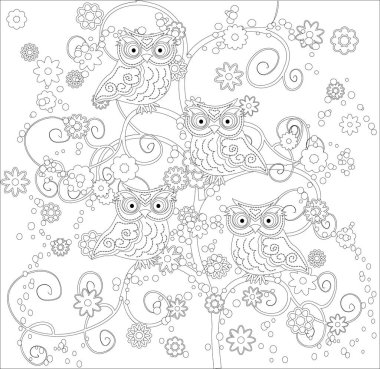 Yetişkin yaş ve üstü çocuklar için boyama kitabı. Şirin baykuş ve çerçeve çiçek boyama sayfası. Zentangle tarzında çizim anahat