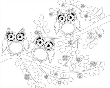 Yetişkin yaş ve üstü çocuklar için boyama kitabı. Şirin baykuş ve çerçeve çiçek boyama sayfası. Zentangle tarzında çizim anahat