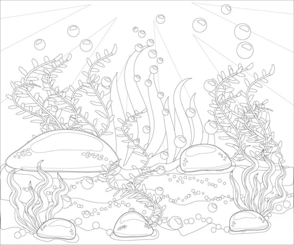 Underwater Coloring Book Images Search Images On Everypixel