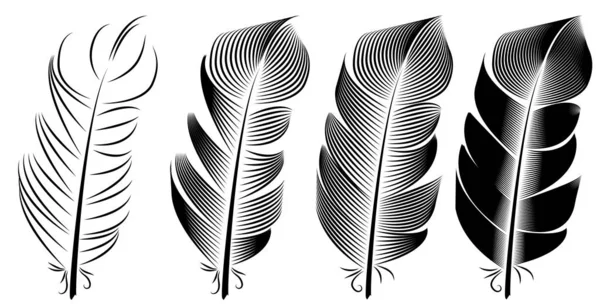 Collection Feather Illustration Drawing Engraving Ink Line Art — Stock Vector