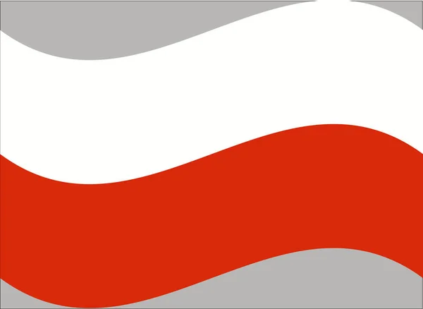 Lengyel Zászló Hivatalos Színek Aránya Helyesen — Stock Vector