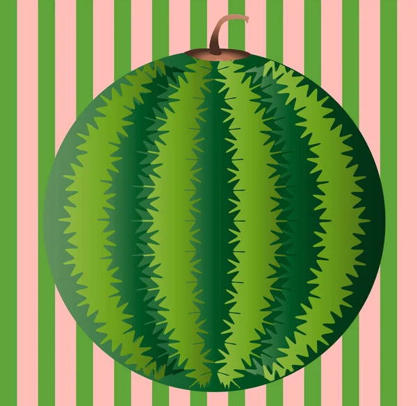 Wassermelonenscheiben Hintergrund Mit Samen Und Haut Textur Vektorillustration — Stockvektor