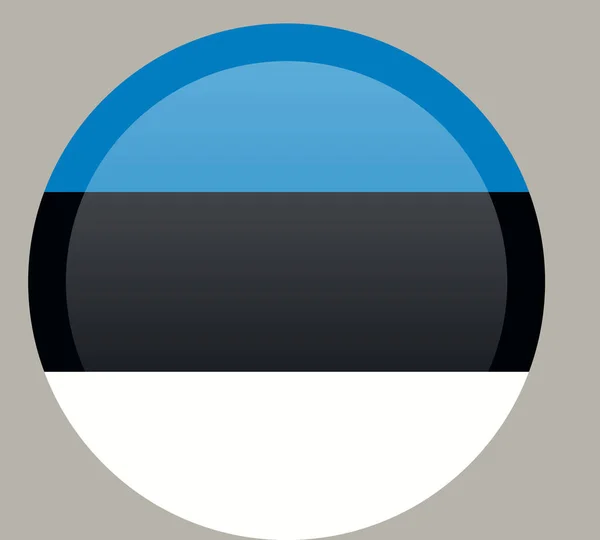 Прапор Естонії Офіційні Кольору Векторні Ілюстрації — стоковий вектор