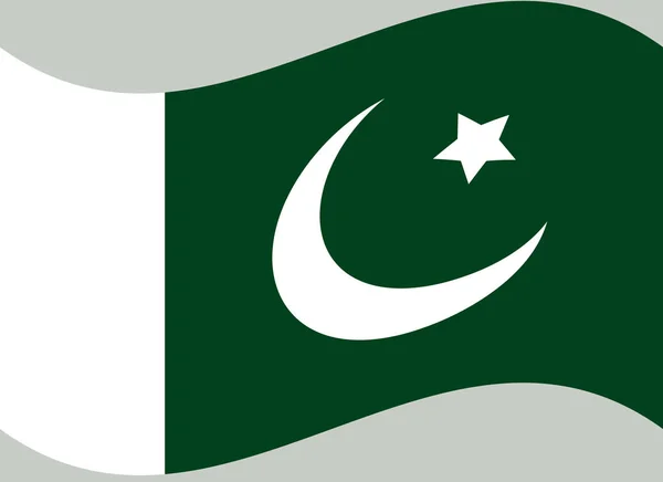 National Pakistan Flag Official Colors Proportion Correctly — Stock Vector