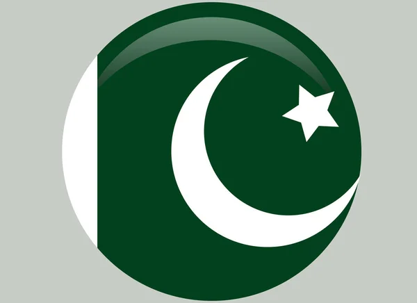 National Pakistan Flag Official Colors Proportion Correctly — Stock Vector