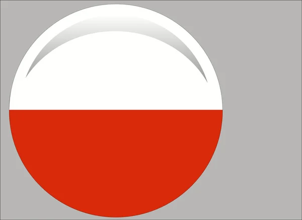 Lengyel Zászló Hivatalos Színek Aránya Helyesen — Stock Vector