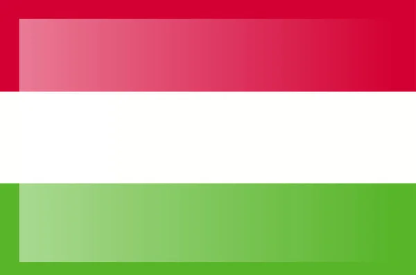 Magyar Zászló Hivatalos Színek Aránya Helyesen — Stock Vector
