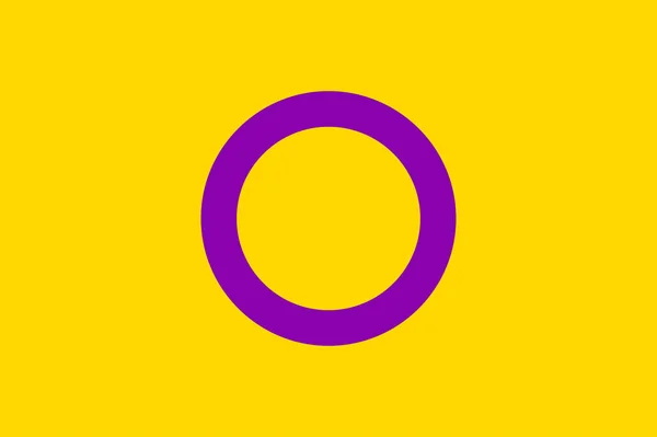 Symbole Intersexuel Personnes Drapeau Réaliste — Image vectorielle