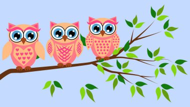 Sevimli kız baykuşlar. Bebek duş, bebek kızlar için partiler.