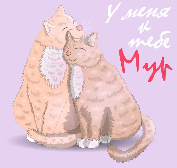 Dos gatos con una inscripción que tengo para ti Moore, el concepto de amor, amor romántico, Día de San Valentín — Archivo Imágenes Vectoriales