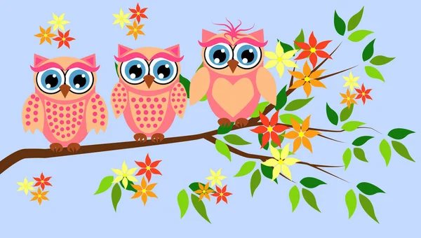 Cute girl owls. Baby showers, parties for baby girls. — Stock Vector