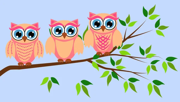 Cute girl owls. Baby showers, parties for baby girls. — Stock Vector