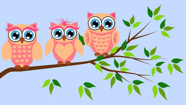 Cute girl owls. Baby showers, parties for baby girls. — Stock Vector