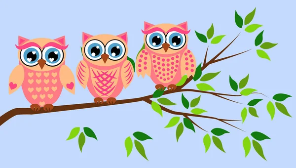 Cute girl owls. Baby showers, parties for baby girls. — Stock Vector