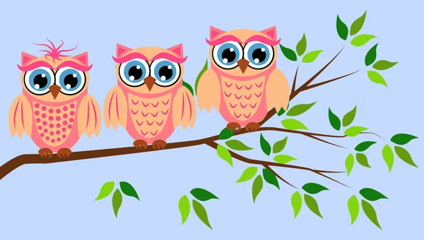 Cute girl owls. Baby showers, parties for baby girls. — Stock Vector