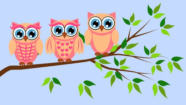 Cute girl owls. Baby showers, parties for baby girls. — Stock Vector