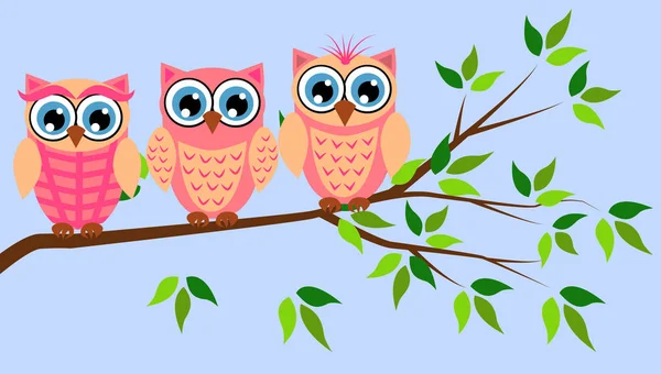 Cute girl owls. Baby showers, parties for baby girls. — Stock Vector