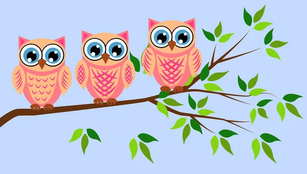 Cute girl owls. Baby showers, parties for baby girls. — Stock Vector