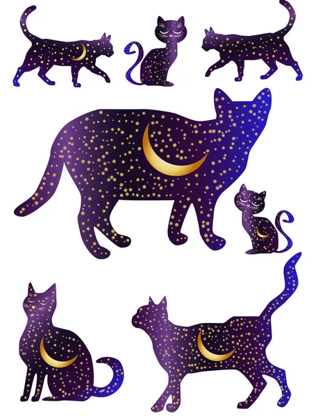 Noite de gato. Sílhuetas de gato pintadas com um céu noturno com estrelas e uma lua jovem — Vetor de Stock