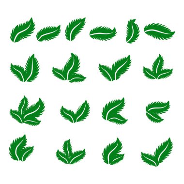 Beyaz arkaplanda yeşil yaprak simgeleri ayarlandı