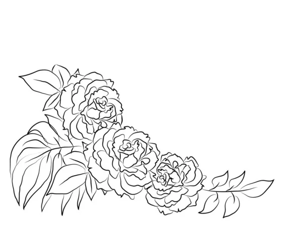 Textuur Van Rose Sakura Lotusbloem Blaadjes Achtergrond Met Ronde Plaats — Stockvector