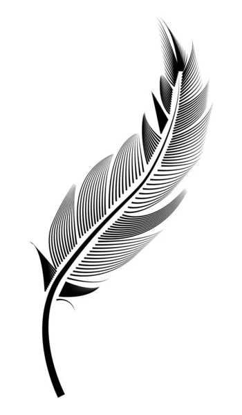 Feather Illustration Drawing Engraving Ink Line Art — Stock Vector