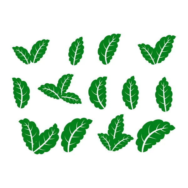 Icônes Feuilles Vertes Sur Fond Blanc — Image vectorielle