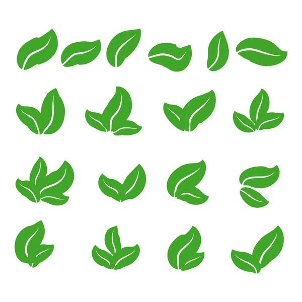 Green Leaf Icons Set White Background — Stock Vector