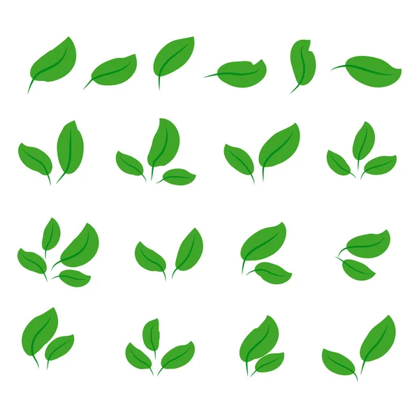 Collection Green Leaves Flat Style Icons Graphic Design — Stock Vector