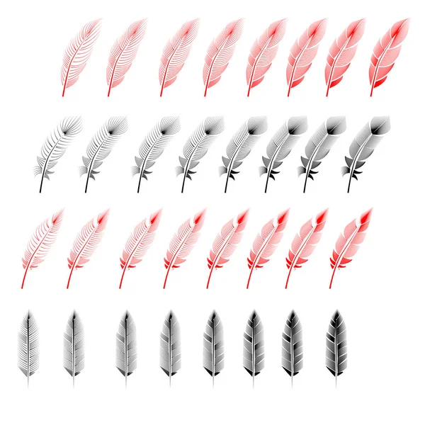 Tüy illüstrasyon, çizim, gravür, mürekkep çizimi koleksiyonu