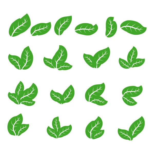 Green Leaf Icons Set White Background — Stock Vector