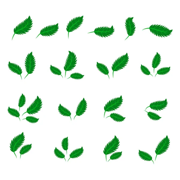 Collection Green Leaves Flat Style Icons Graphic Design — Stock Vector