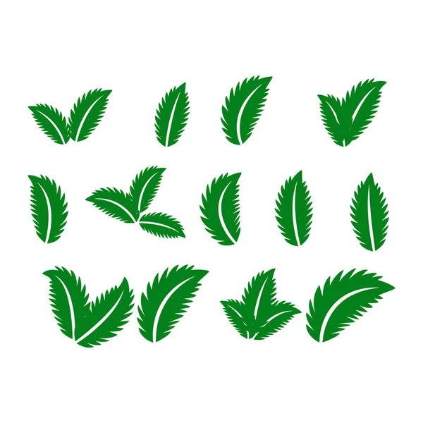 Green Leaf Icons Set White Background — Stock Vector