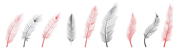 Collection Feather Illustration Drawing Engraving Ink Line Art — Stock Vector