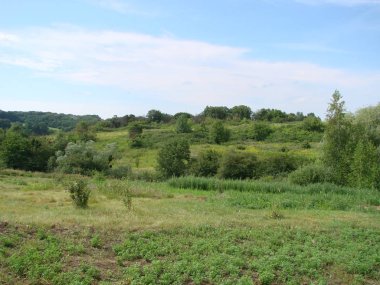mavi güneşli gökyüzü altında parlak yemyeşil çim alan. Düz yeşil çim alan doğa ile kırsal otlak manzara
