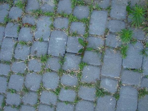 Paving Stone Old Street Background Abstract Background Old Cobblestone Pavement — Stock Photo, Image
