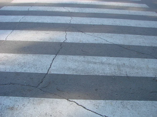 Zebra Crosswalk Road Safety People Walking Cross Street — Stock Photo, Image