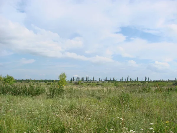 Helder Weelderig Grasveld Onder Blauwe Zonnige Hemel Landelijk Weide Landschap — Stockfoto