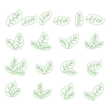 Beyaz arka planda izole yeşil yaprakları simgeleri kümesi