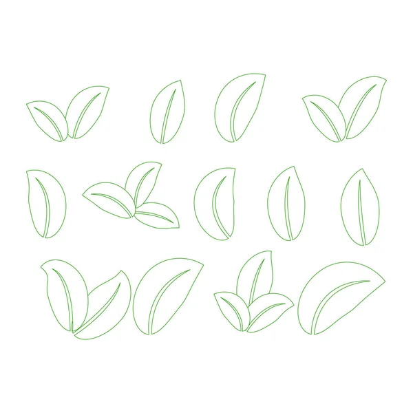 Набір елементів дизайну зеленого листя. Зелений паросток зелене листя символ набір . — стоковий вектор