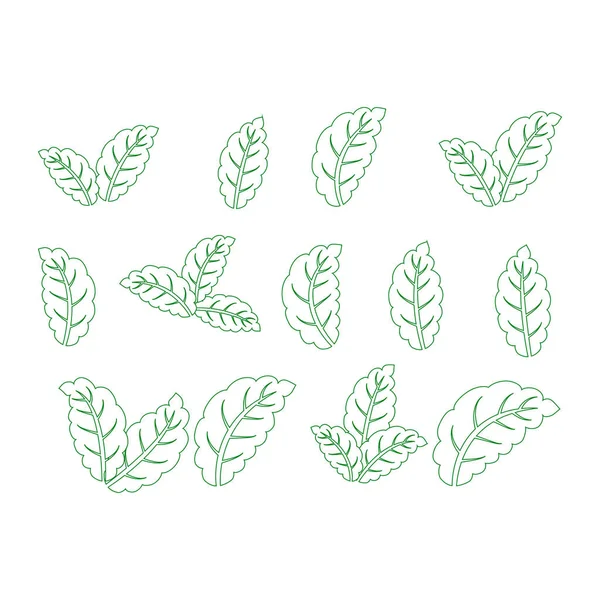 Conjunto de elementos de diseño de hojas verdes. Brote verde hojas verdes icono símbolo conjunto . — Vector de stock