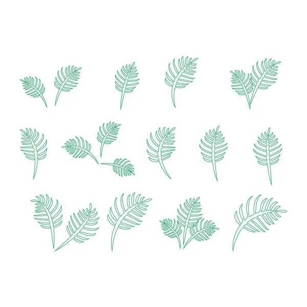 Set van groene bladeren ontwerpelementen. Groene Sprout groene bladeren symbool pictogram instellen. — Stockvector