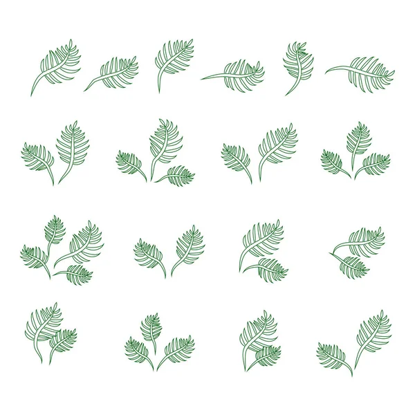 Set aus isolierten grünen Blättern auf weißem Hintergrund — Stockvektor