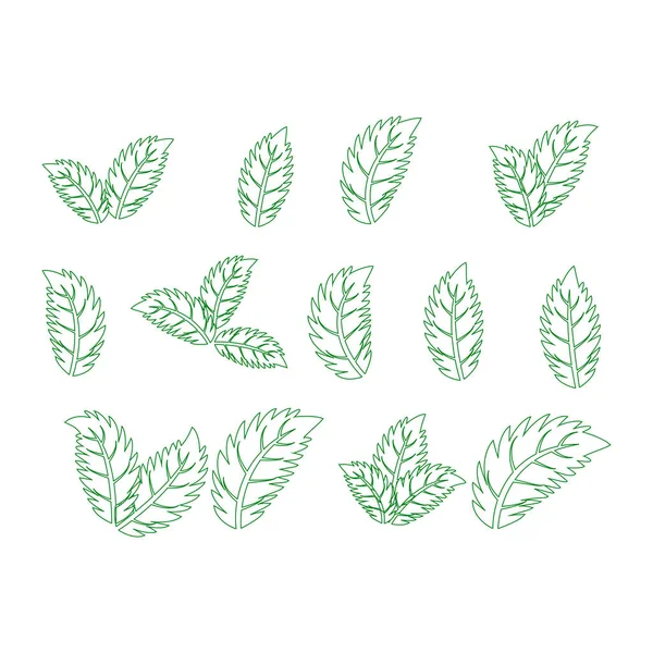 Set of green leaves design elements. Green sprout green leaves symbol icon set. — Stock Vector