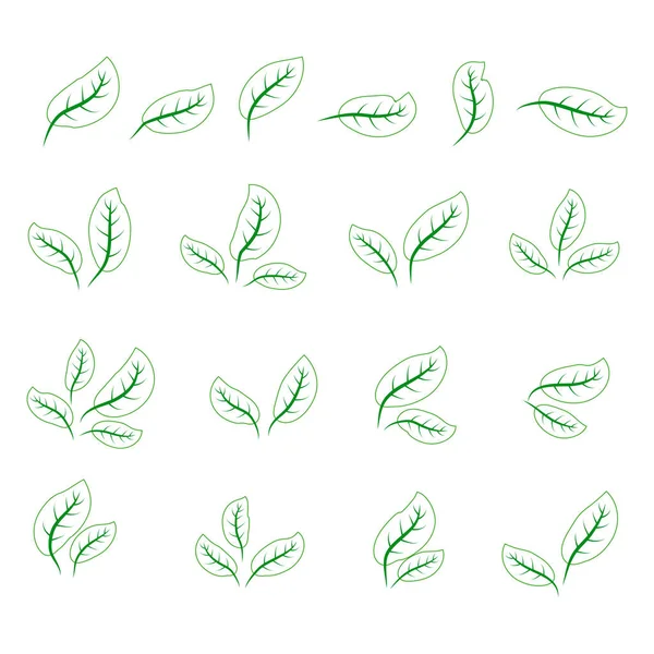 Conjunto de hojas verdes aisladas iconos sobre fondo blanco — Vector de stock
